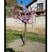 Migdal Ornamental